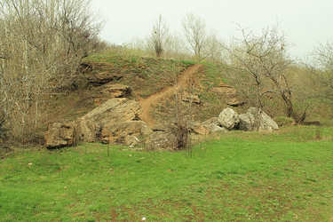 Similar image 1219835