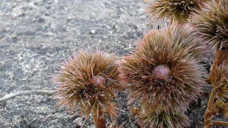 Similar image 1220016