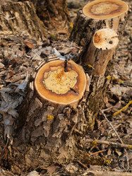 Similar image 1220048