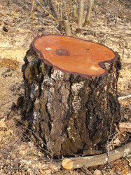 Similar image 1220049