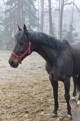 Similar image 1220060