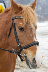 Similar image 1220061