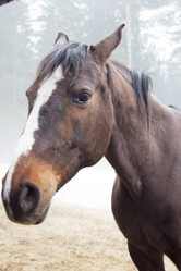 Similar image 1220065