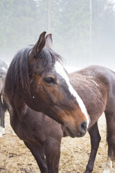 Similar image 1220066