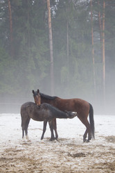 Similar image 1220067