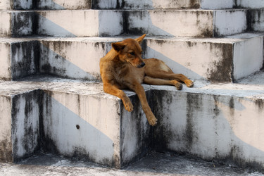 Similar image 1220085