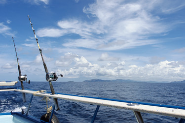 Similar image 1220087