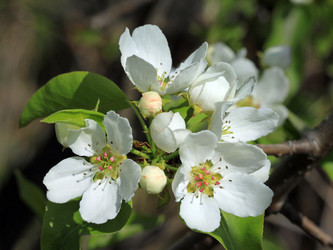 Similar image 1220138