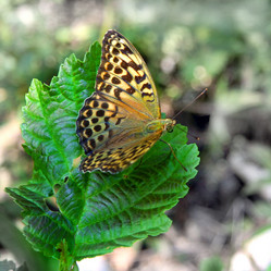 Similar image 1220140