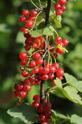 Similar image 1220143