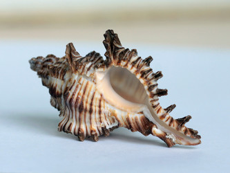 Similar image 1220145