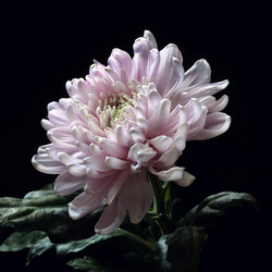 Similar image 1220147