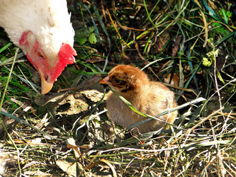 Similar image 1220192