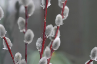 Similar image 1220205