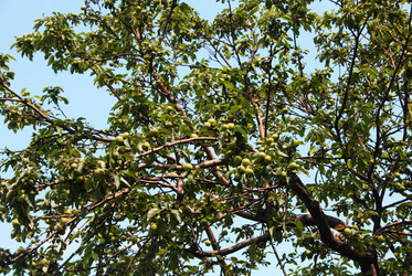 Similar image 1220209