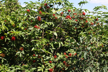 Similar image 1220211