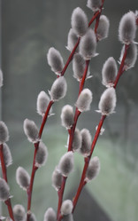 Similar image 1220219