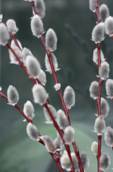 Similar image 1220224