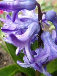 Similar image 1220234