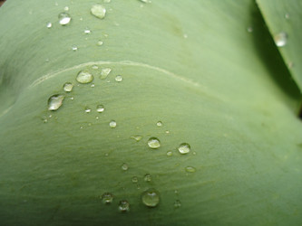 Similar image 1220235