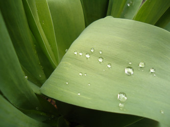 Similar image 1220236