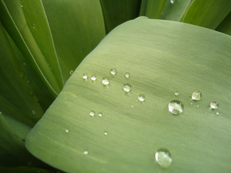 Similar image 1220237