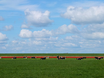 Similar image 1220240