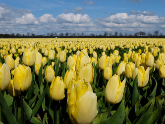 Similar image 1220241