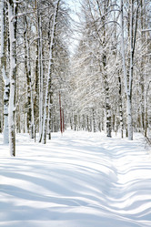 Similar image 1220279