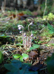 Similar image 1220286