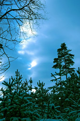 Similar image 1220288