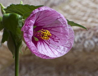 Similar image 1220295