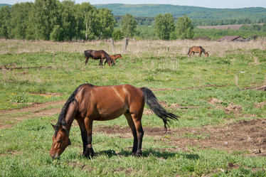 Similar image 1220325