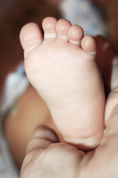 Similar image 1220340