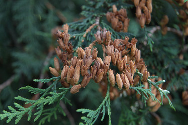 Similar image 1220349