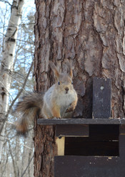 Similar image 1220353