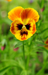 Similar image 1220361