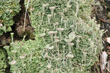 Similar image 1220399