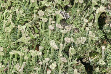 Similar image 1220401