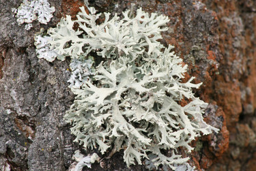 Similar image 1220402