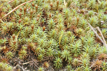 Similar image 1220404