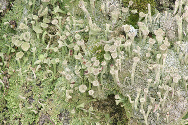 Similar image 1220405