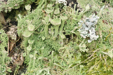 Similar image 1220406