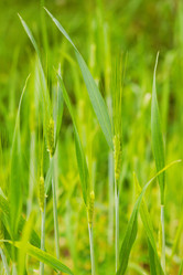 Similar image 1220440