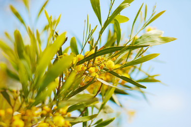 Similar image 1220447