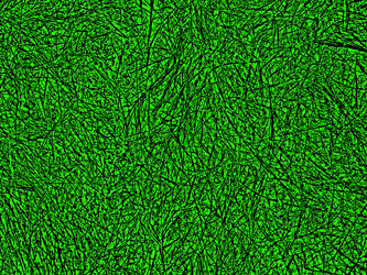 Similar image 1220460