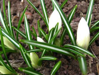 Similar image 1220474