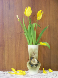 Similar image 1220526