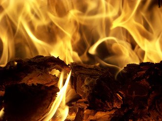 Similar image 1220528