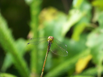 Similar image 1220529